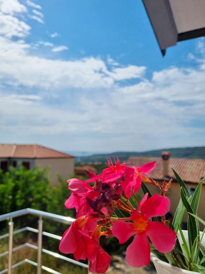 Villa Ines Zgornje Skofije Exterior foto